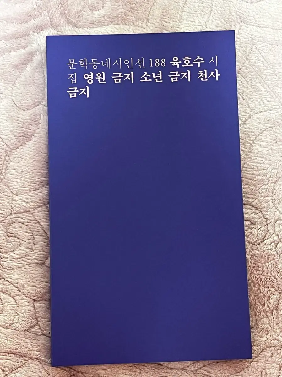 문학동네시인선 육호수 영원금지 소년금지 천사금지